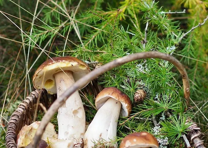 Weitblick Brauersdorf Lejlighed